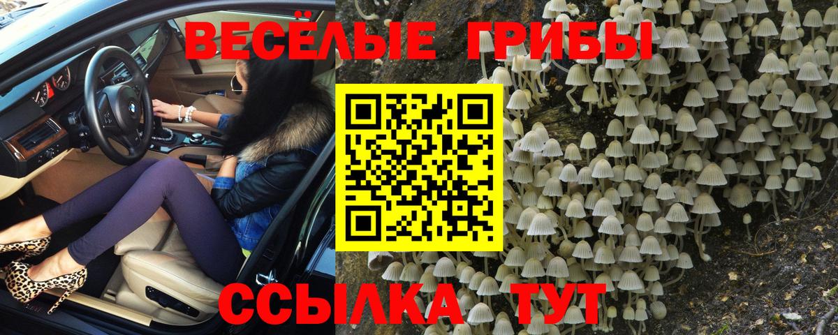 Псилоцибиновые грибы мухоморы  Вход с VPN  Белебей 